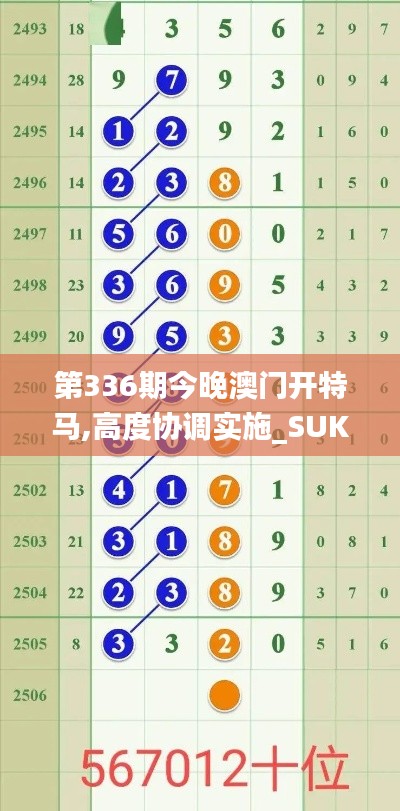第336期今晚澳門開特馬,高度協(xié)調實施_SUK99.105用心版