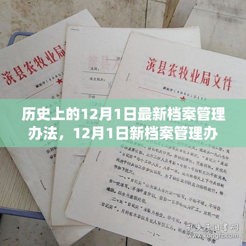 建議，新檔案管理辦法出臺，心靈與自然美景之旅啟程