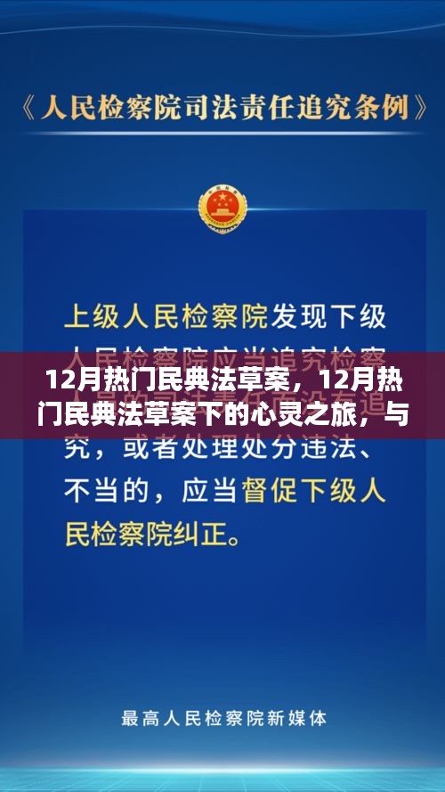 12月民典法草案下的心靈與自然之旅，探尋內(nèi)心平靜與美景共舞