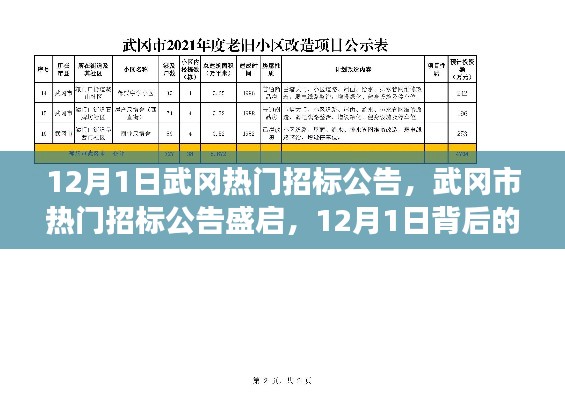 揭秘武岡市熱門招標公告背后的故事與影響，12月1日盛啟