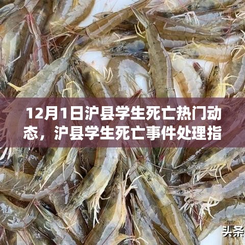 人前顯貴 第5頁