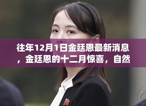 金廷恩十二月驚喜之旅，心靈啟示與自然美景的交融時刻