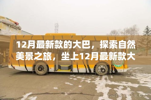 坐上最新款大巴，開啟自然美景探索之旅，尋找內(nèi)心的寧靜與平和
