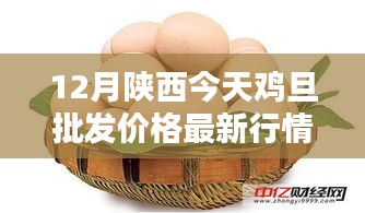 陜西今日雞蛋批發(fā)價格詳解，最新行情、查詢方法與應(yīng)對策略