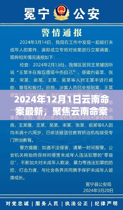聚焦云南命案，最新進(jìn)展與深度解讀（2024年12月版）