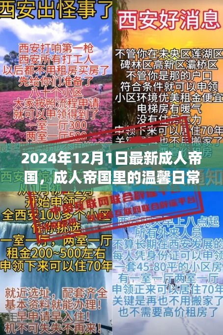 成人帝國里的溫馨日常，陽光故事2024年12月1日