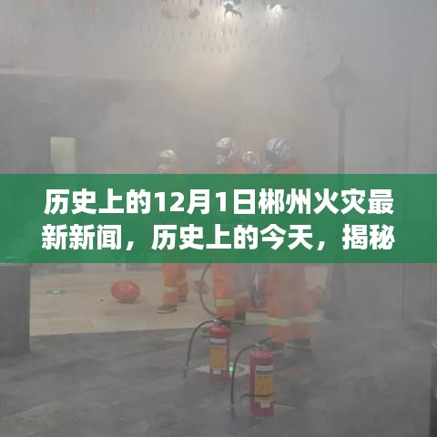 揭秘郴州火災(zāi)背后的故事，歷史上的今天回顧與最新新聞報道