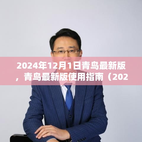 青鳥(niǎo)最新版使用指南（2024年12月版），初學(xué)者與進(jìn)階用戶指南共鑒