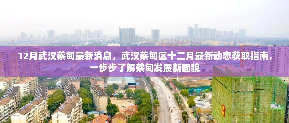 武漢蔡甸區(qū)十二月最新動態(tài)全解析，發(fā)展面貌大揭秘