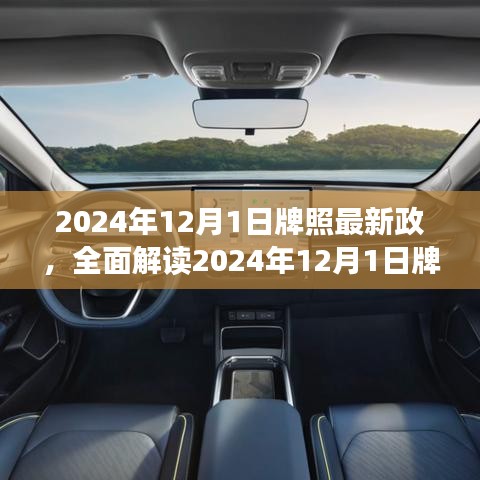 解讀2024年牌照新政，特性、體驗、競品對比及用戶群體深度分析