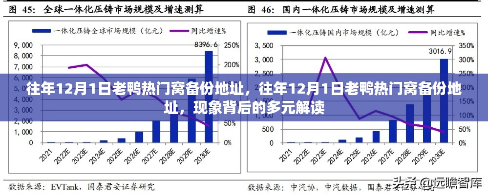 往年12月1日老鴨熱門窩備份地址現(xiàn)象背后的多元解讀分析