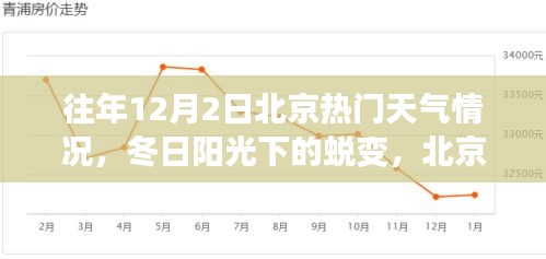 北京往年12月2日冬日陽光下的學習之旅與自信起航，天氣回顧與蛻變時刻