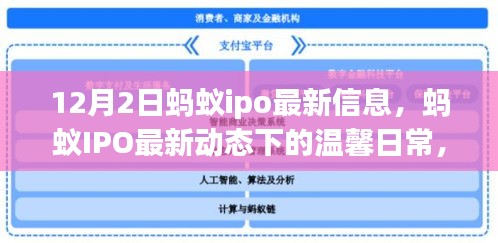 螞蟻IPO最新動態(tài)，小螞蟻的冒險與友情之旅的溫馨日常