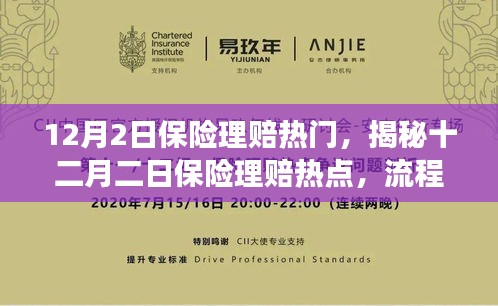 揭秘十二月二日保險(xiǎn)理賠熱點(diǎn)，流程、要點(diǎn)及注意事項(xiàng)全解析
