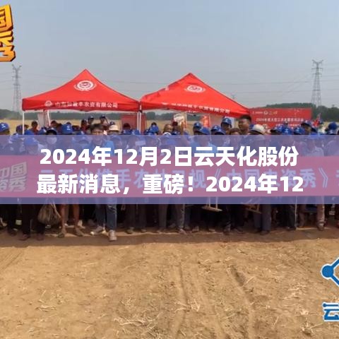 獨(dú)家揭秘，云天化股份最新動(dòng)態(tài)與未來展望（2024年12月2日更新）