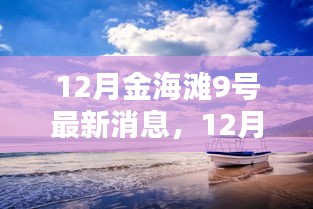 12月金海灘9號(hào)最新動(dòng)態(tài)與指南，任務(wù)完成與技能學(xué)習(xí)全解析