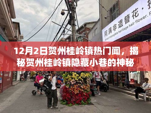 賀州桂嶺鎮(zhèn)隱藏小巷的神秘特色小店探尋，美食探險(xiǎn)之旅揭秘聞