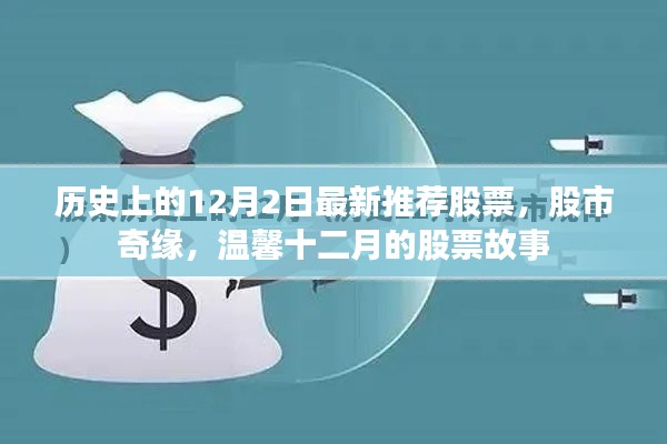 溫馨十二月，股市奇緣與最新推薦股票故事回顧