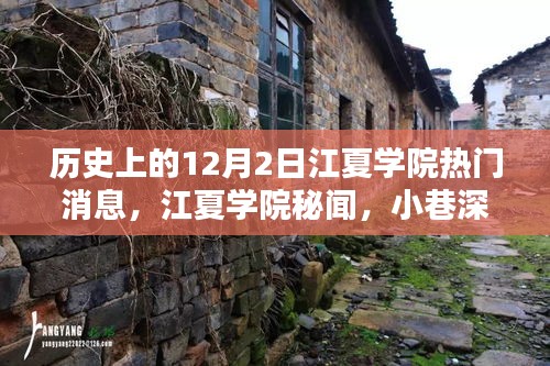 江夏學(xué)院十二月二日秘聞探尋，寶藏小店與獨(dú)特風(fēng)采揭秘