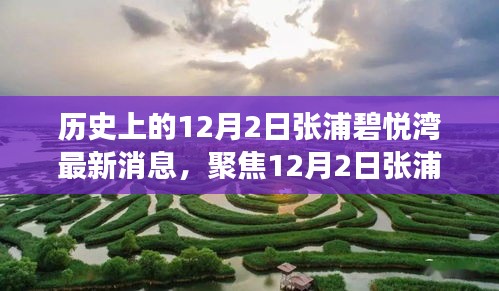 聚焦張浦碧悅灣最新動態(tài)，深度解讀12月2日新消息及其影響