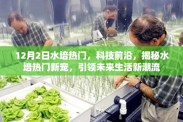 揭秘水培熱門新寵，引領(lǐng)未來(lái)生活潮流，科技前沿揭秘水培趨勢(shì)分析