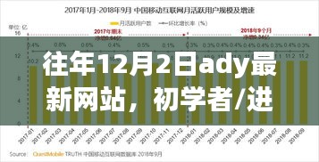 往年12月2日最新網(wǎng)站使用教程，初學(xué)者與進(jìn)階用戶指南——需注意法律風(fēng)險(xiǎn)