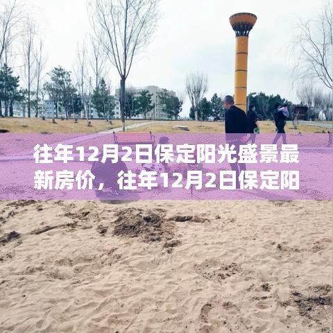 往年12月2日保定陽光盛景房價綜述及深度分析，特性、體驗(yàn)、競品對比與目標(biāo)用戶洞察