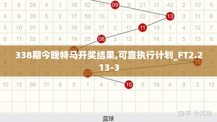338期今晚特馬開獎結(jié)果,可靠執(zhí)行計劃_FT2.213-3