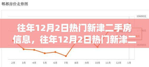 往年12月2日新津二手房市場深度解析，熱門房源、市場走勢與個人選擇探討