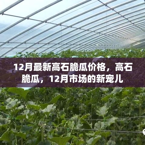 12月高石脆瓜價(jià)格與市場熱度揭秘，新寵兒的魅力所在