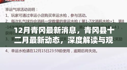 深度解讀與觀點闡述，青岡縣十二月最新動態(tài)與消息速遞