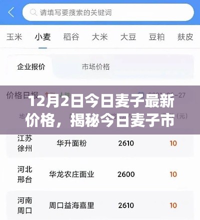 揭秘今日麥子市場，最新價格動態(tài)及市場分析（以麥子最新價格行情為例）