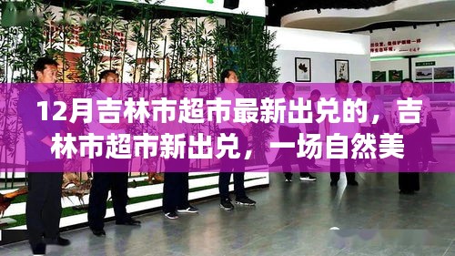 吉林市超市最新出兌，探尋自然美景，發(fā)現(xiàn)內(nèi)心寧靜之美之旅