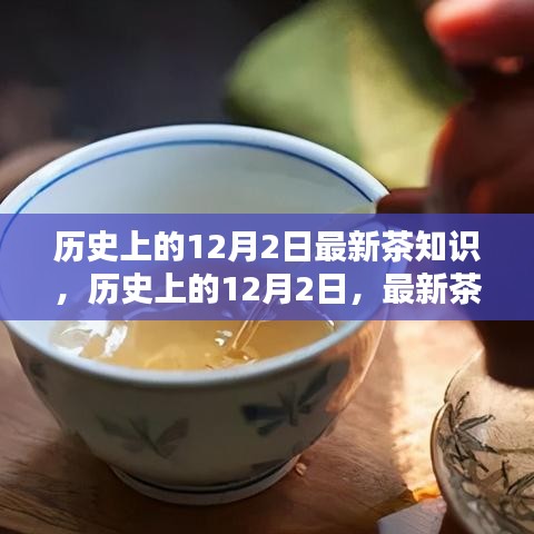 歷史上的12月2日茶知識(shí)大揭秘，最新學(xué)習(xí)全攻略