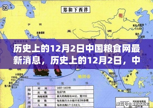 歷史上的12月2日，中國糧食網(wǎng)的新篇章與自信的力量種子
