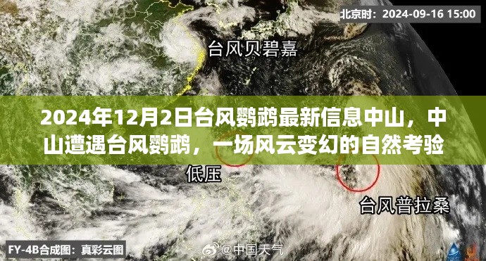 中山遭遇臺(tái)風(fēng)鸚鵡，風(fēng)云變幻的自然考驗(yàn)最新信息