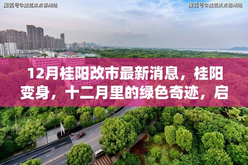 12月桂陽改市最新動態(tài)，綠色奇跡啟程，心靈之旅開啟