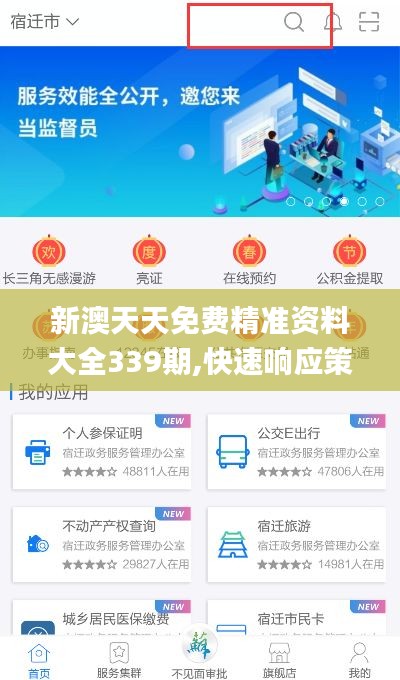 新澳天天免費精準資料大全339期,快速響應(yīng)策略方案_WP版65.618-4