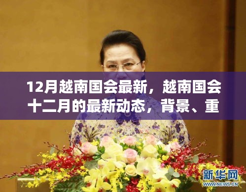 越南國會十二月最新動態(tài)，背景、重要事件與時代地位解析