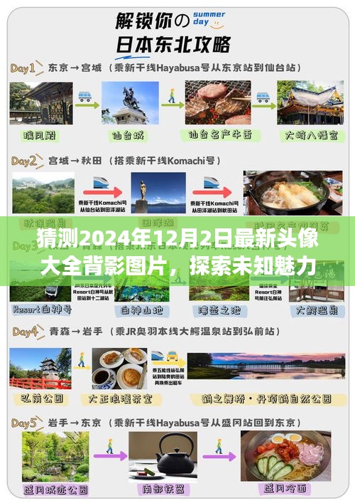 『最新精選，2024年12月2日背影頭像大全，探索未知魅力與未來時(shí)尚潮流』