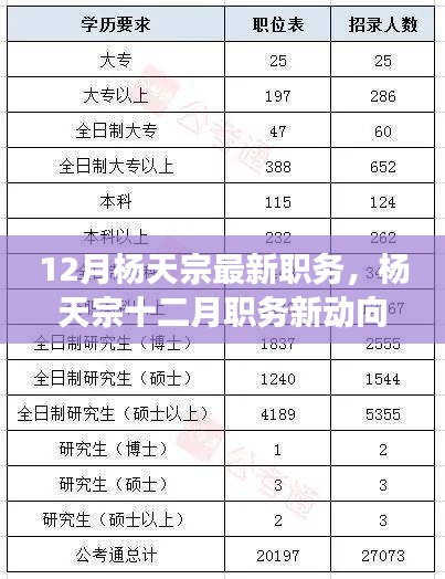 楊天宗十二月職務(wù)最新動態(tài)，多方解讀與觀點分析