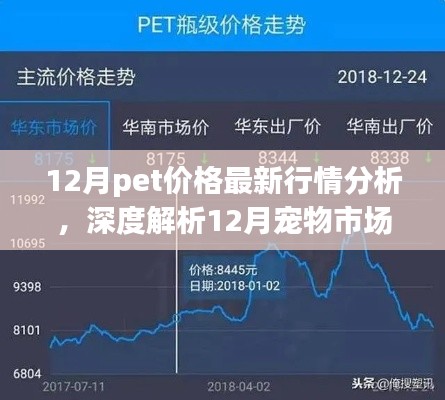 深度解析，12月寵物市場脈動與寵物價格最新行情背景重塑