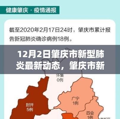 肇慶市新型肺炎最新動(dòng)態(tài)，12月2日回顧與展望