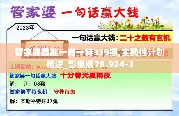 管家婆最準(zhǔn)一肖一特339期,實(shí)踐性計(jì)劃推進(jìn)_影像版78.924-3