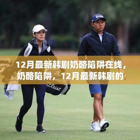 12月最新韓劇奶酪陷阱在線，奶酪陷阱，12月最新韓劇的甜蜜與掙扎