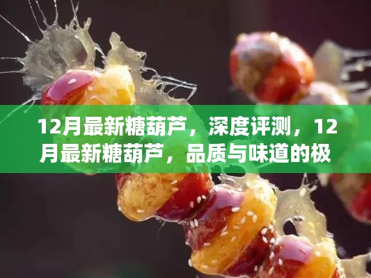 12月最新糖葫蘆，品質(zhì)與味道的極致融合深度評(píng)測(cè)