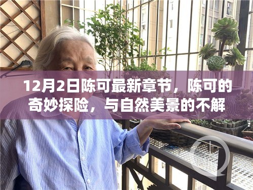 陳可的奇妙探險，最新章節(jié)揭秘與自然美景的不解之緣