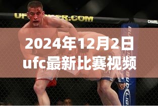 揭秘小巷深處的格斗盛宴，UFC最新比賽視頻與美食天堂的雙重體驗（2024年12月2日）