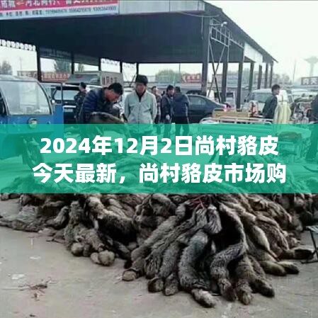 尚村貉皮市場(chǎng)最新指南，選購(gòu)優(yōu)質(zhì)貉皮的初學(xué)者友好版建議