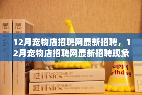 12月寵物店招聘網(wǎng)最新招聘現(xiàn)象解析，利弊探討與個(gè)人觀點(diǎn)